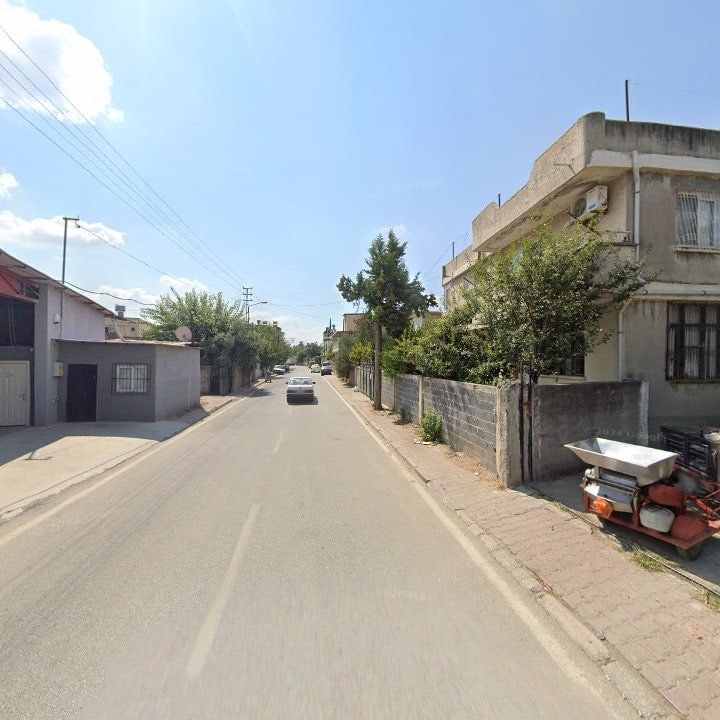 Fotoğraf 7