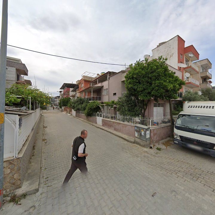 Fotoğraf 8