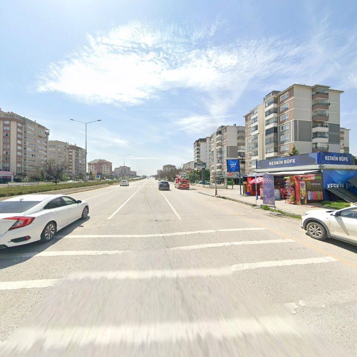 Fotoğraf 11