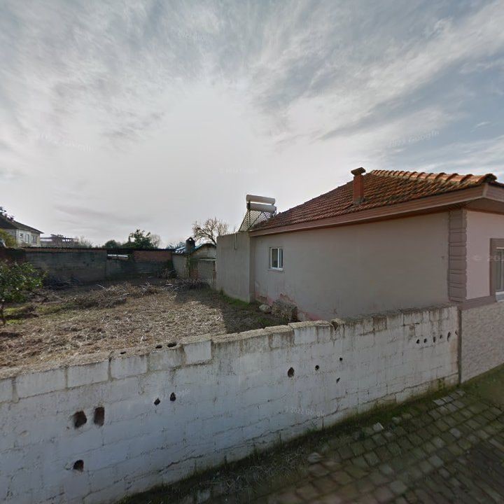 Fotoğraf 8