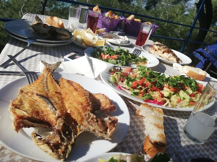 Şevki'nin Yeri