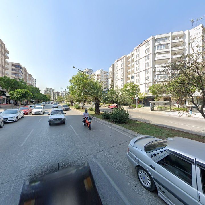 Fotoğraf 12