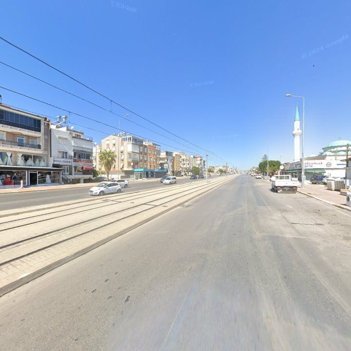 Fotoğraf 7