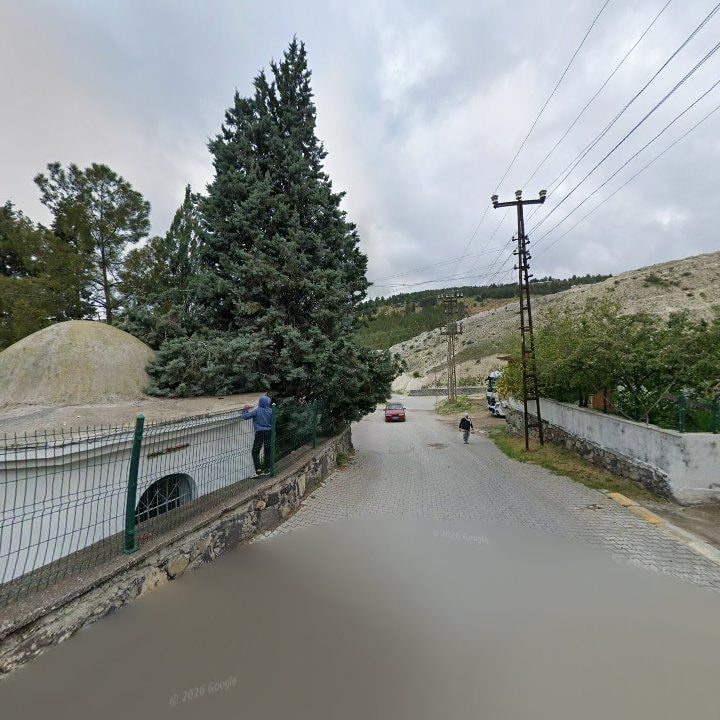Fotoğraf 8