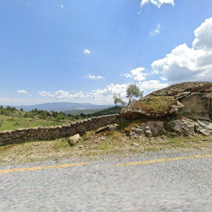 Fotoğraf 11