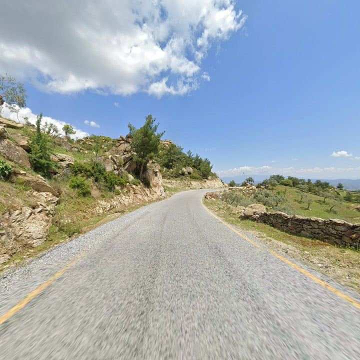 Fotoğraf 10