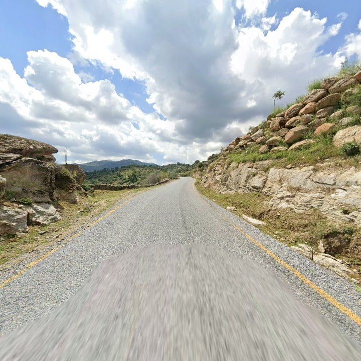 Fotoğraf 12