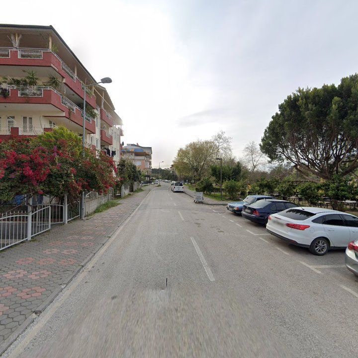Fotoğraf 7