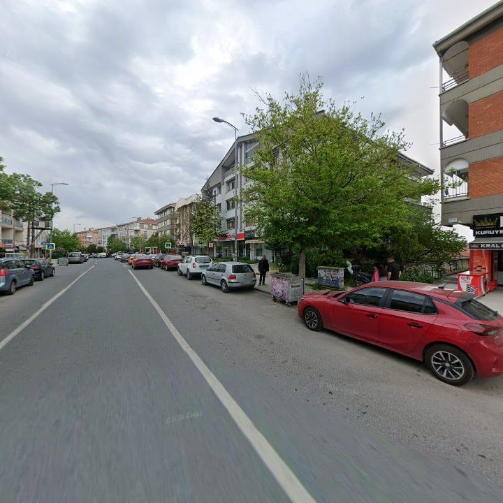 Fotoğraf 8