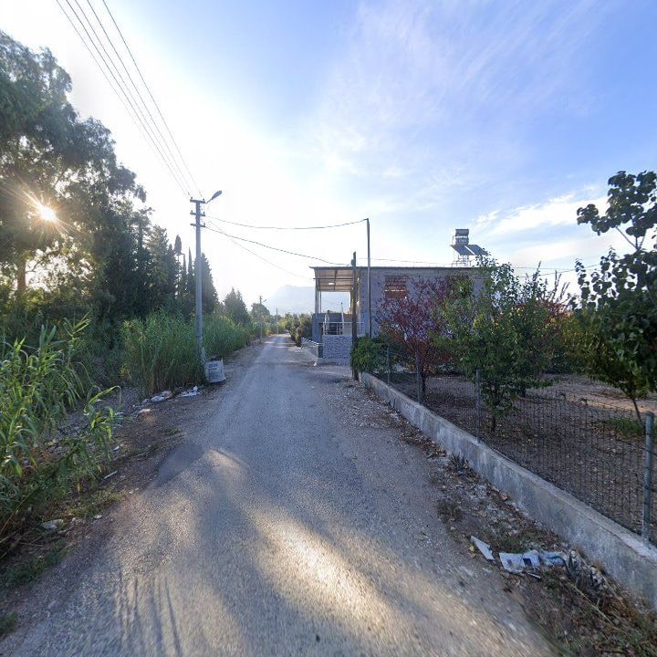 Fotoğraf 6