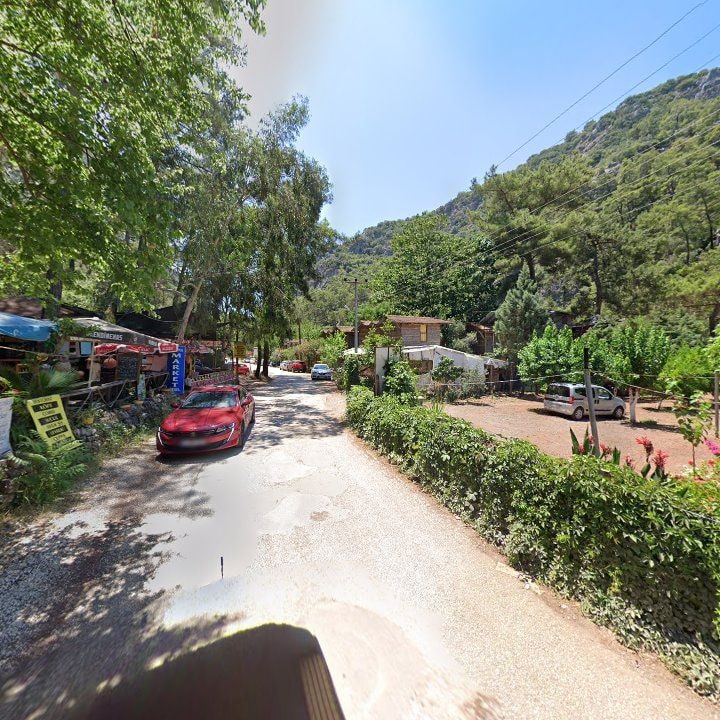 Fotoğraf 11