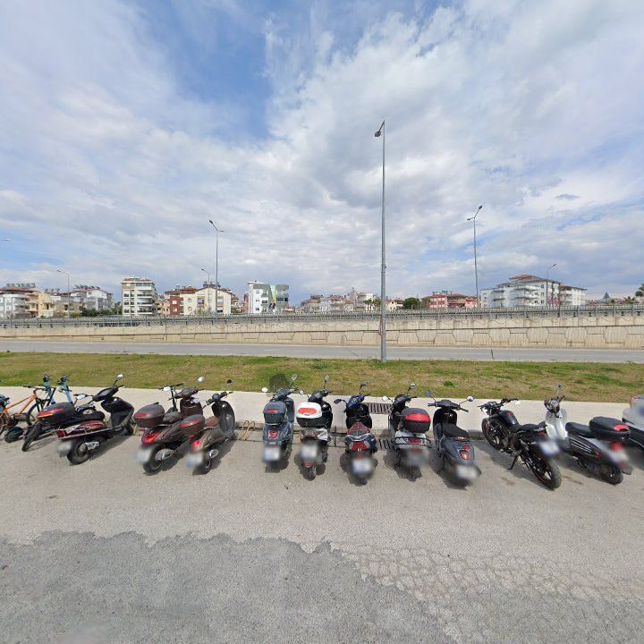 Fotoğraf 15