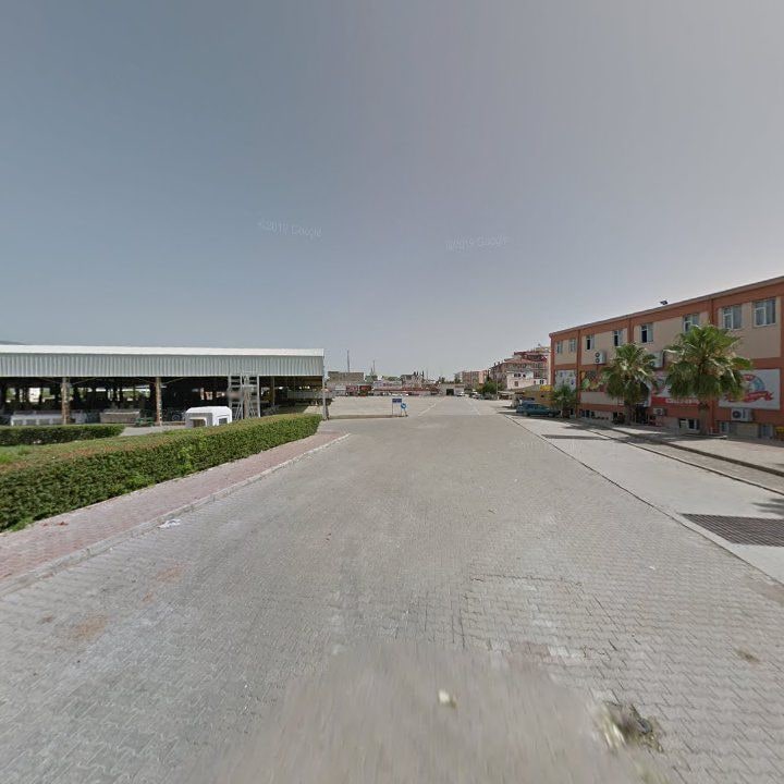 Fotoğraf 8