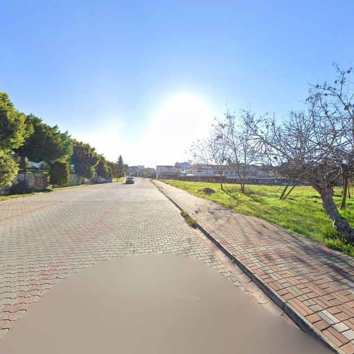 Fotoğraf 9