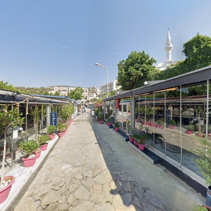 Fotoğraf 10
