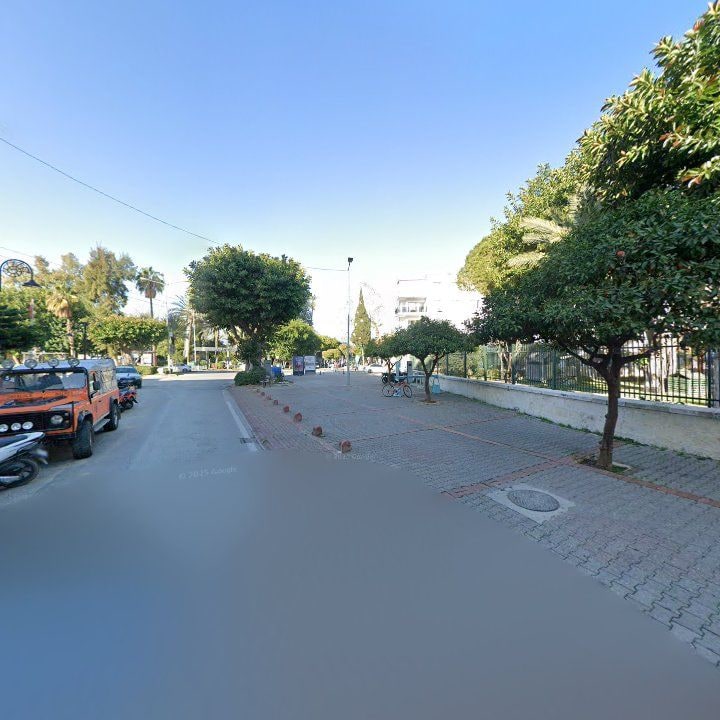 Fotoğraf 12