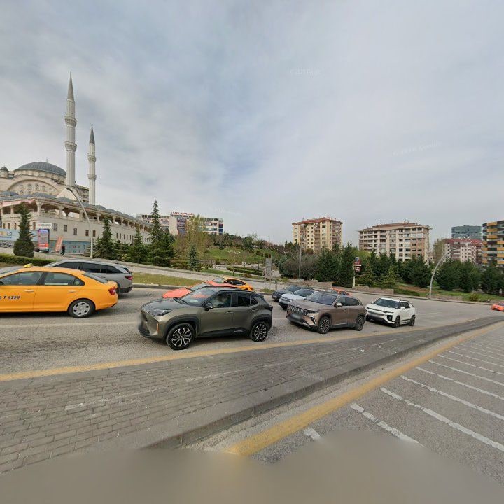 Fotoğraf 10