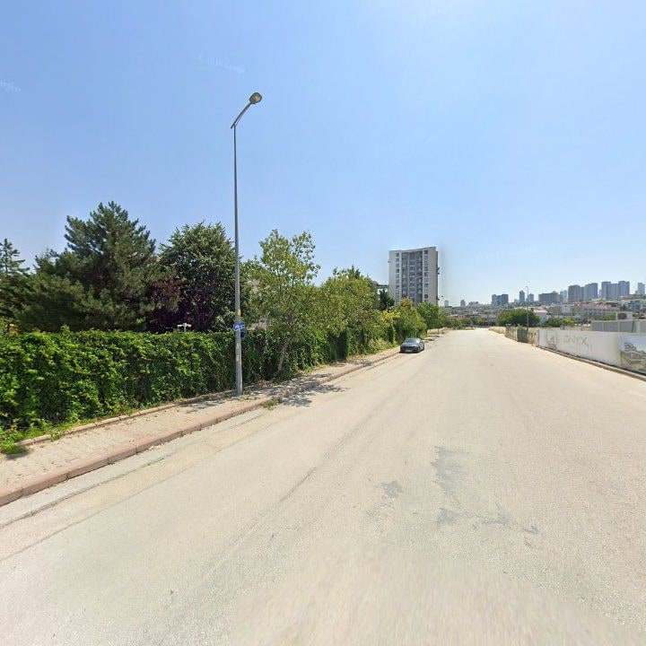 Fotoğraf 13