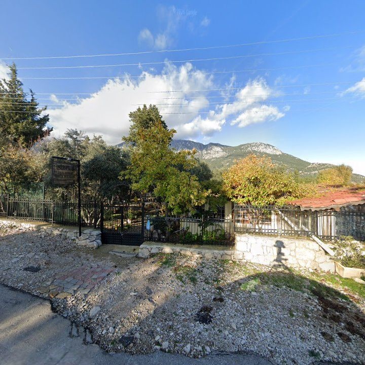 Fotoğraf 9
