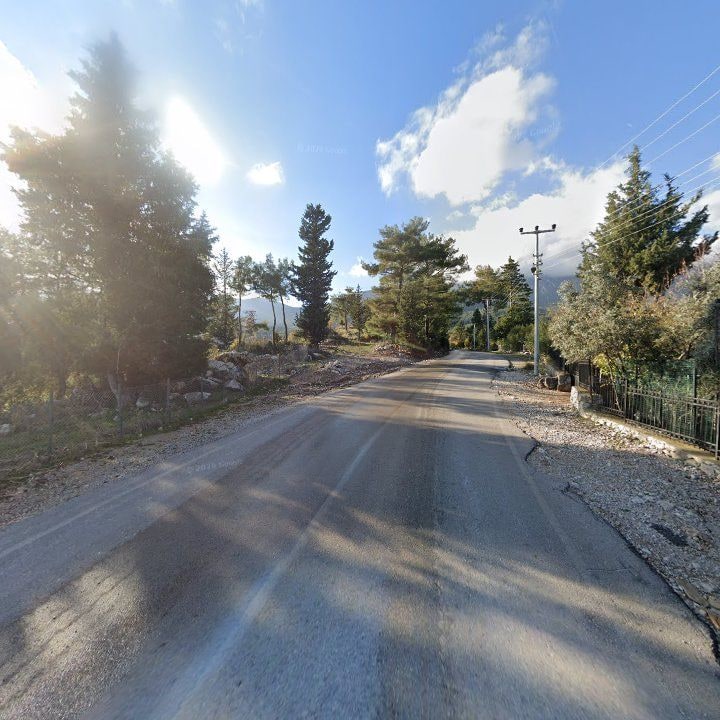 Fotoğraf 12