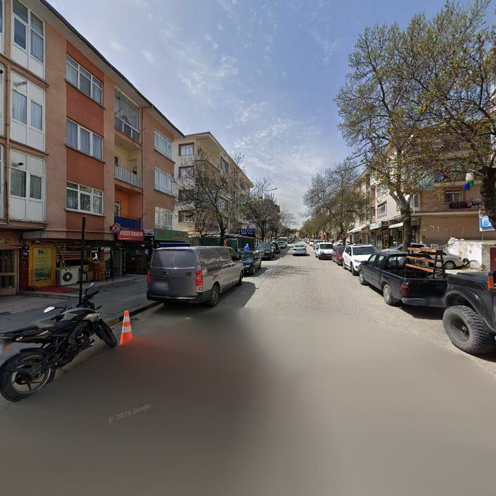 Fotoğraf 11