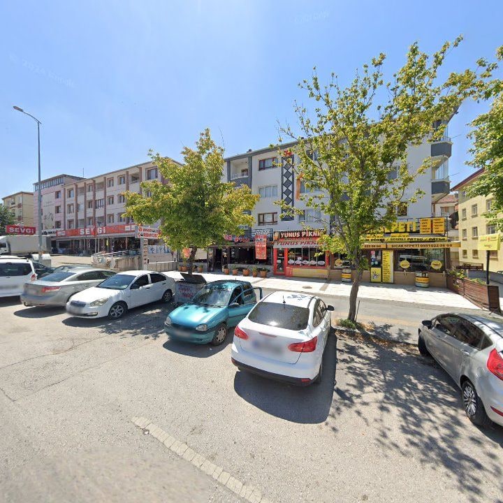 Fotoğraf 8