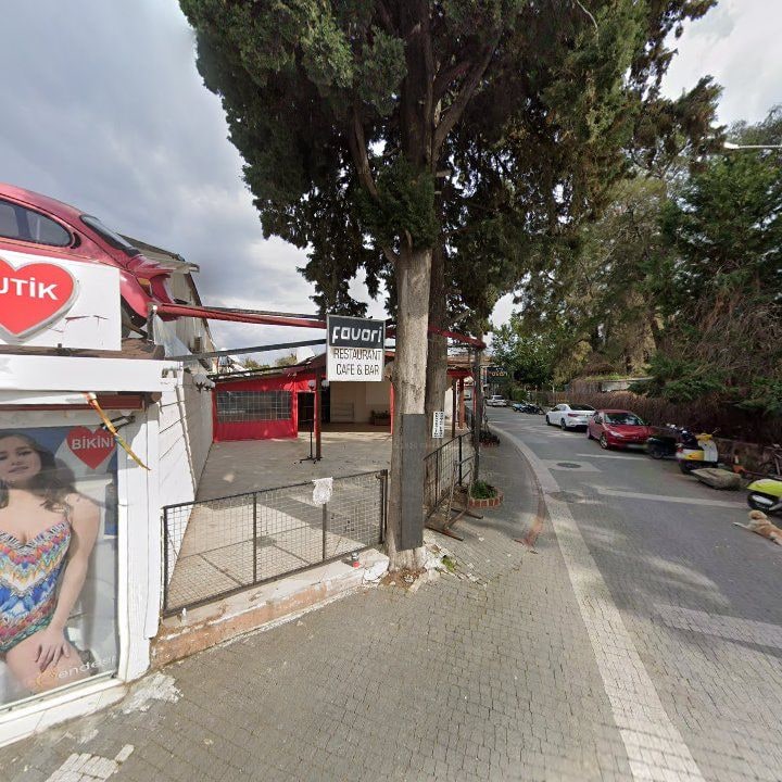 Fotoğraf 12