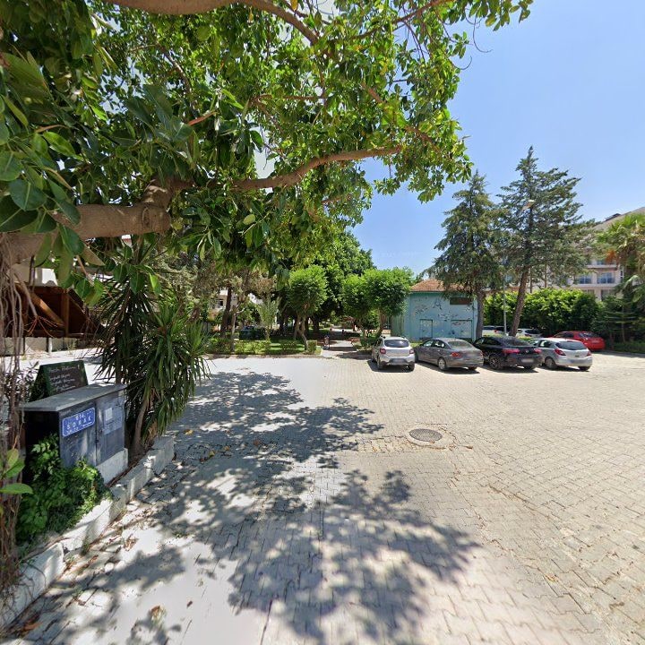 Fotoğraf 8
