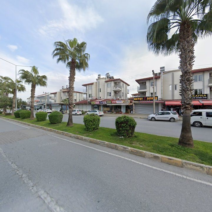 Fotoğraf 11