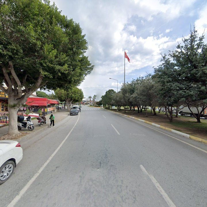 Fotoğraf 10