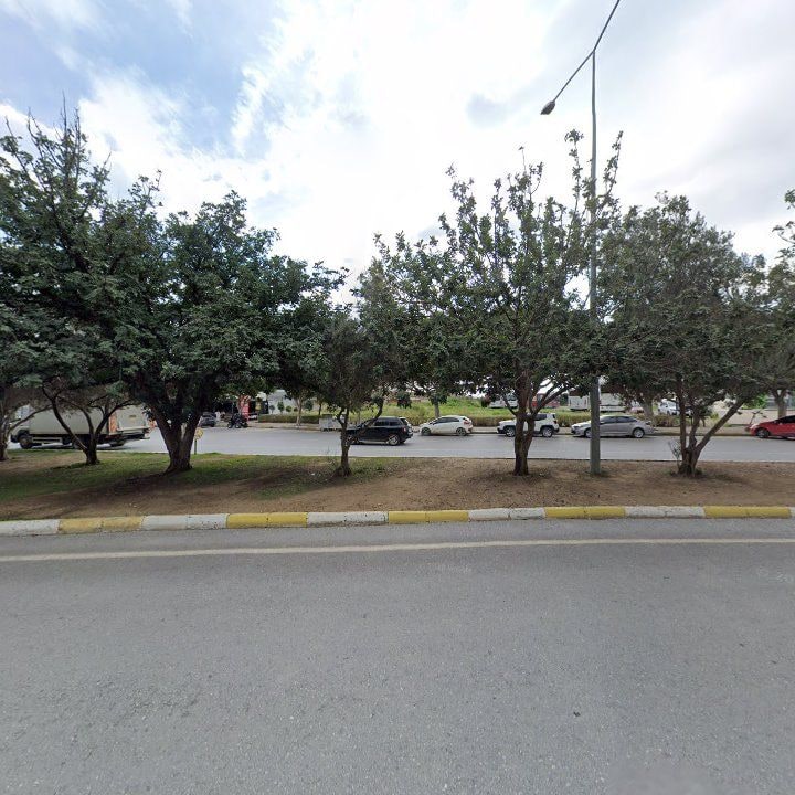 Fotoğraf 11