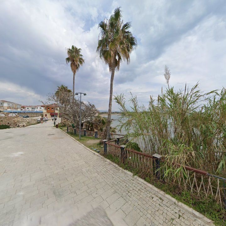 Fotoğraf 13