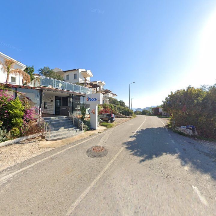 Fotoğraf 10