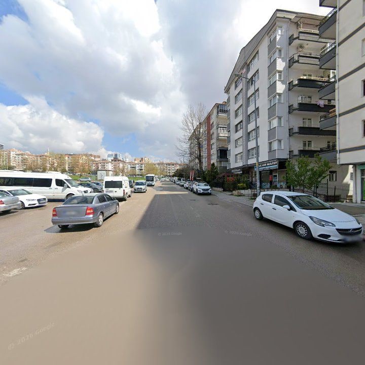 Fotoğraf 10