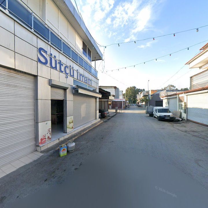 Fotoğraf 10