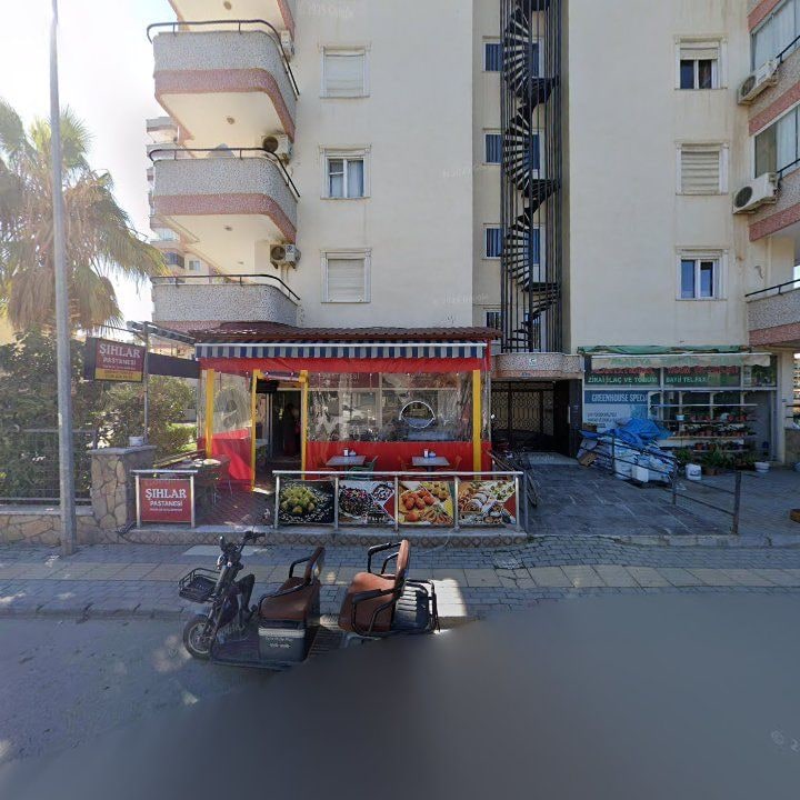 Fotoğraf 6