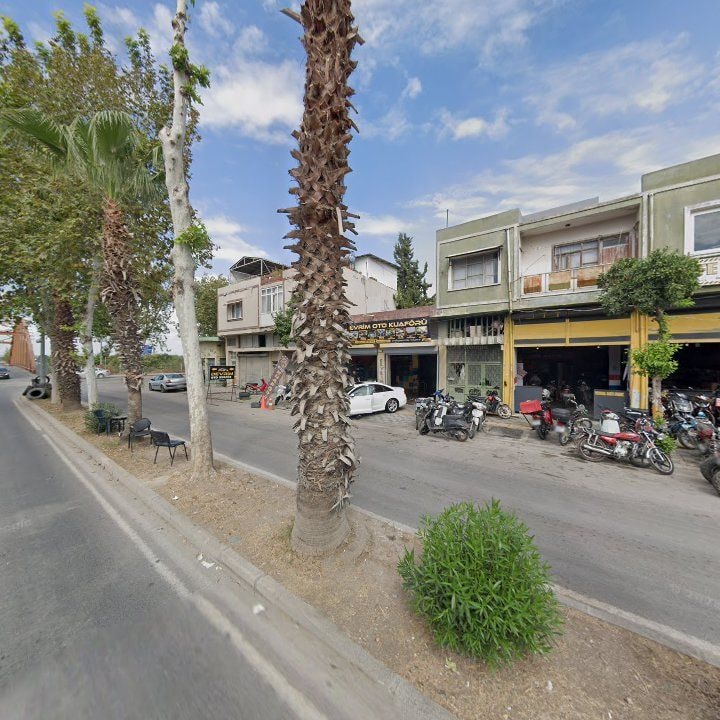 Fotoğraf 8