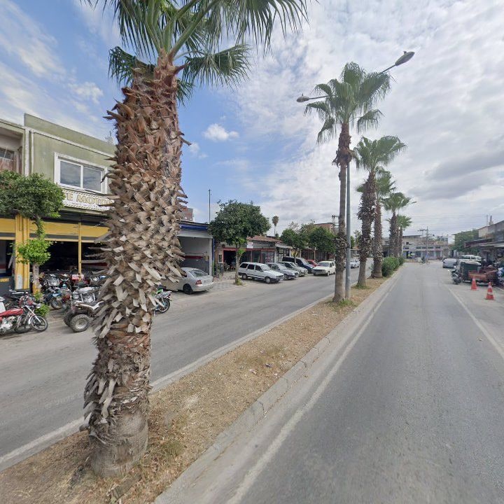 Fotoğraf 9