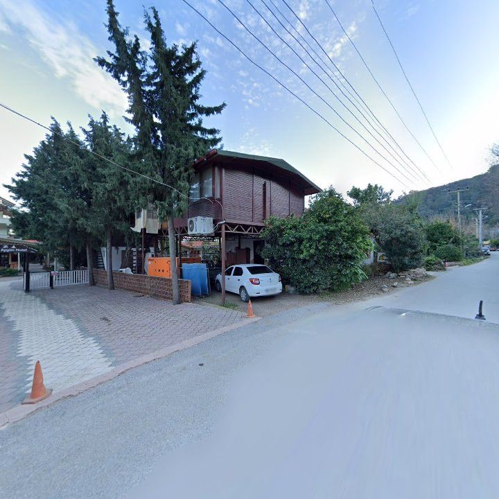 Fotoğraf 12