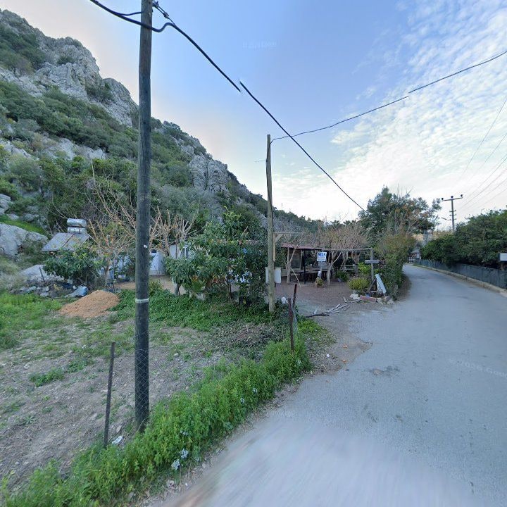 Fotoğraf 10