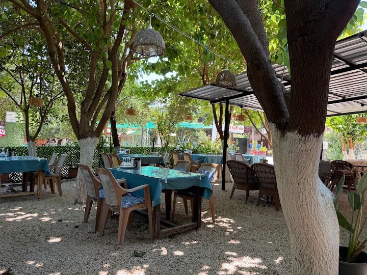 Sıla Cafe Ve Gözleme Evi