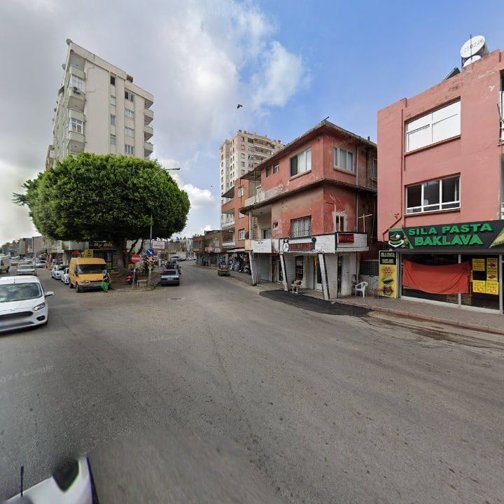 Fotoğraf 8