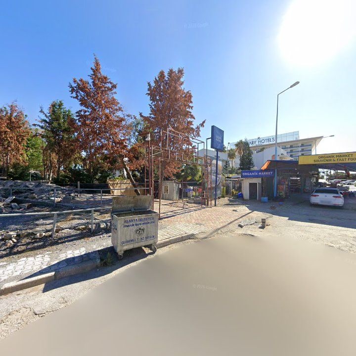 Fotoğraf 10