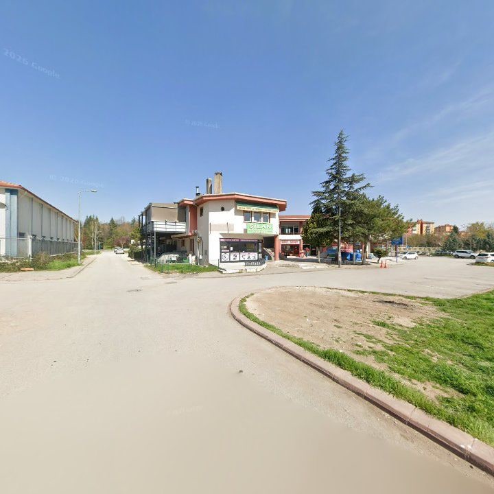 Fotoğraf 10
