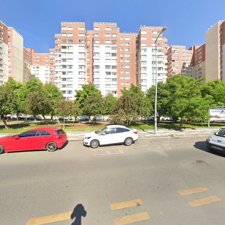 Fotoğraf 10