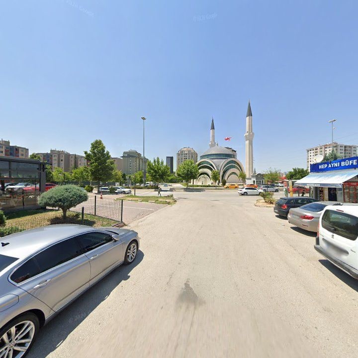 Fotoğraf 9