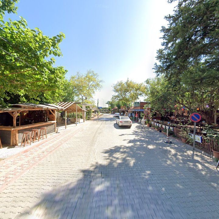 Fotoğraf 11