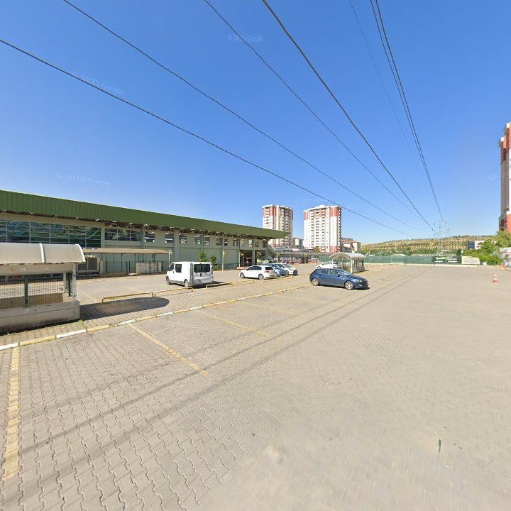Fotoğraf 8