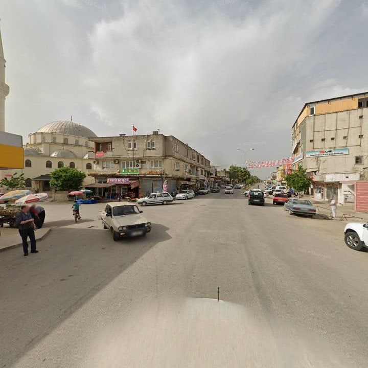 Fotoğraf 11