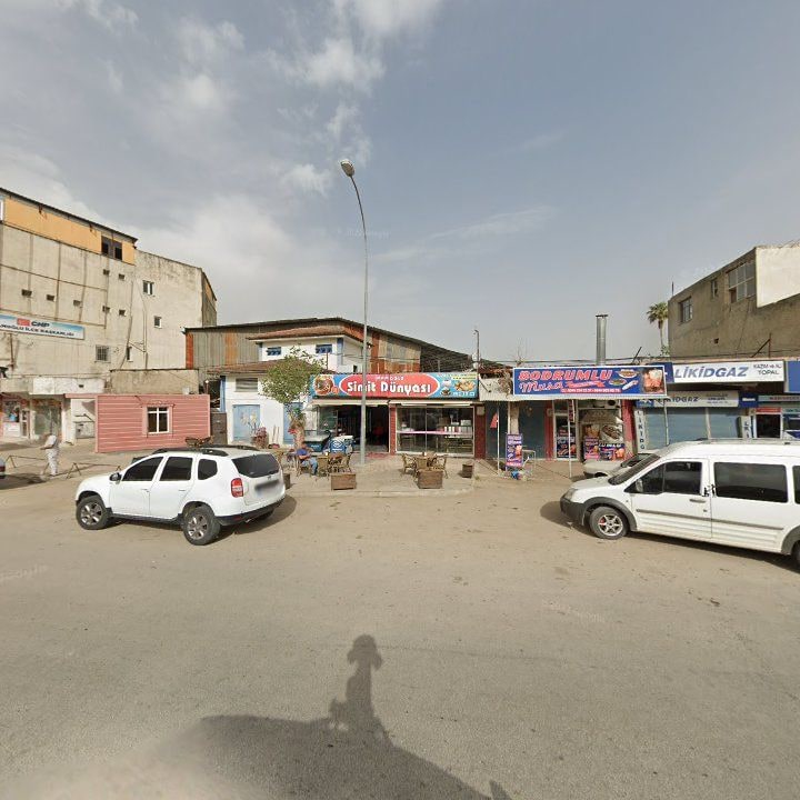 Fotoğraf 8